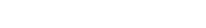 SW Projektmanagement